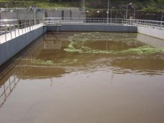 我公司某污水處理廠案例